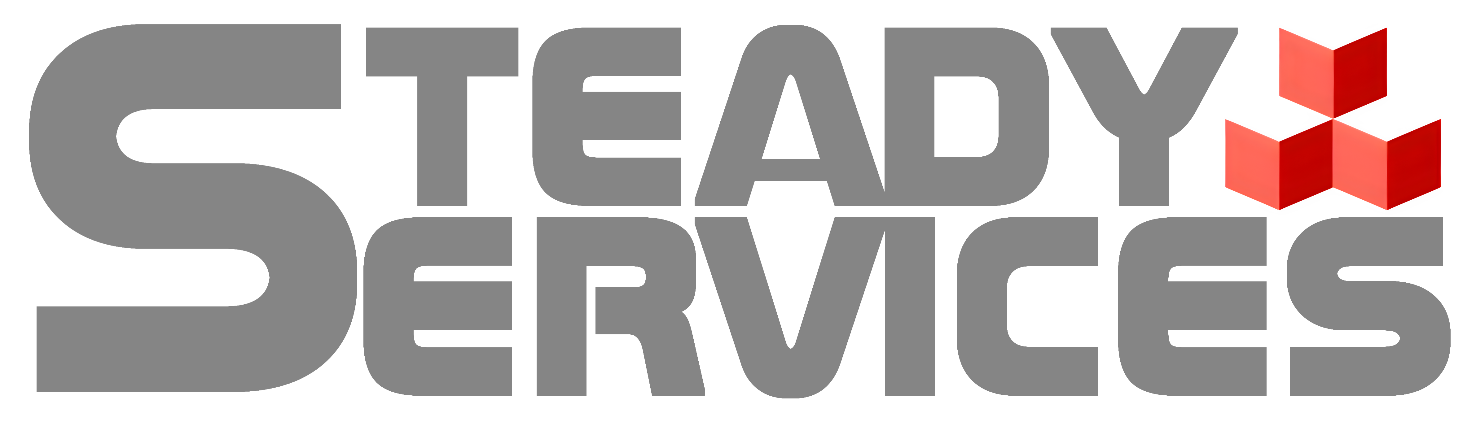 Steady Services logo